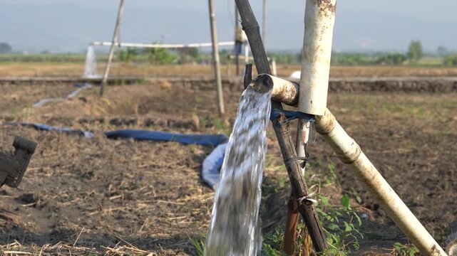 Water flows from a PVC pipe, pumping groundwater to irrigate a vibrant green rice paddy field, showing agricultural technology in a rural Southeast Asian farm landscape with a focus on splash.