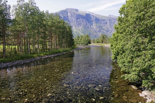 A clear river flows through a wooded landscape with mountains in the background, Eikesdalsvatnet, Eikesdalen, More og Romsdal, Norway