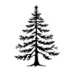 Fototapeta premium Black evergreen pine tree silhouette with detailed branches isolated on white background for Christmas, winter, forest, nature, and seasonal holiday designs