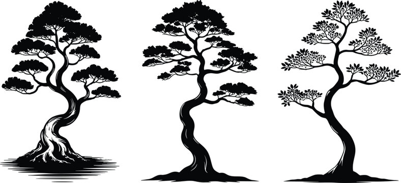 Black and white illustration of three stylized bonsai trees with unique trunk shapes and foliage, representing nature, art, balance, and traditional cultivation aesthetics.