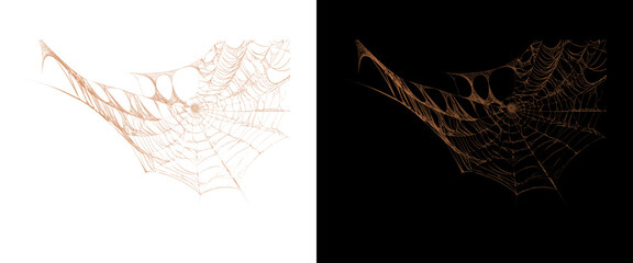 Naklejka premium Intricate spider web design on white and black backgrounds, spooky cobweb texture for Halloween decor, delicate silk arachnid net pattern