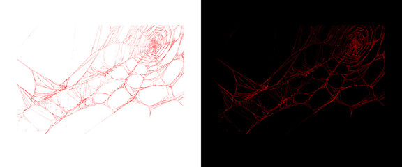 Naklejka premium Microscopic red blood vessel network, anatomical vascular structure on white and black background, biological capillary system for medical research
