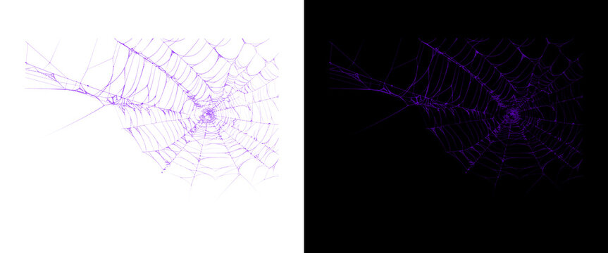Purple spider web texture on white and black background, spooky cobweb design for Halloween, neon violet spiderweb overlay for gothic horror decor
