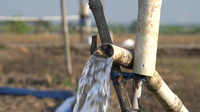 Water flows from a PVC pipe, pumping groundwater to irrigate a vibrant green rice paddy field, showing agricultural technology in a rural Southeast Asian farm landscape with a focus on splash.