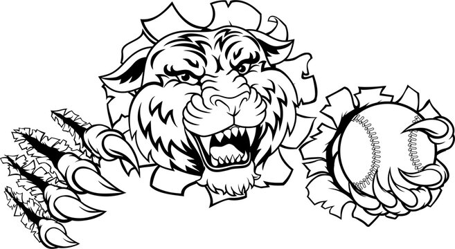 A tiger animal baseball or softball sports team cartoon mascot