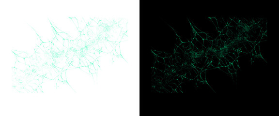 Abstract digital neural network, glowing green web connection on black and white background, futuristic technology data visualization © Transparent Studio