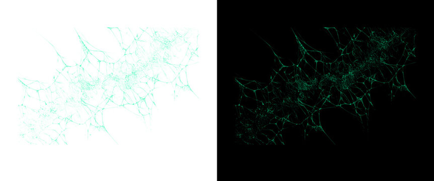 Abstract digital neural network, glowing green web connection on black and white background, futuristic technology data visualization