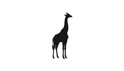 Fototapeta premium Majestic standing giraffe solid black silhouette showing full body profile isolated on a clean white background.
