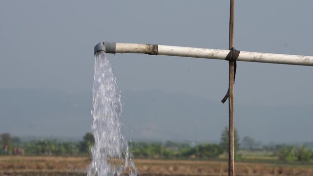 Water flows from a PVC pipe, pumping groundwater to irrigate a vibrant green rice paddy field, showing agricultural technology in a rural Southeast Asian farm landscape with a focus on splash.