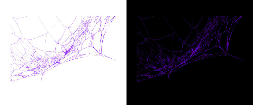 Purple spider web texture on white and black backgrounds, spooky cobweb design elements, ethereal violet silk net for Halloween and gothic decor