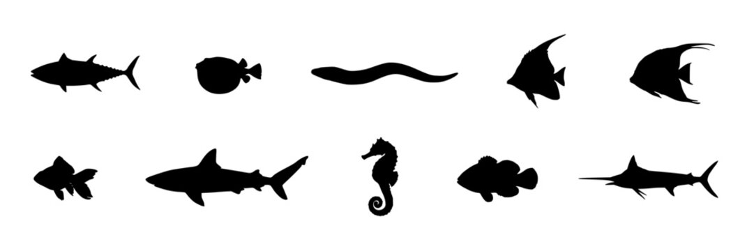 Fish Silhouettes in Black Showcasing Ten Distinct Aquatic Creatures with Varied Shapes and Designs Featuring Silhouette, Marine