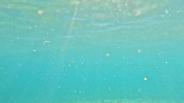 Microplastic pollution floating in ocean water