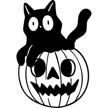 Black Cat Inside Halloween Pumpkin Illustration
