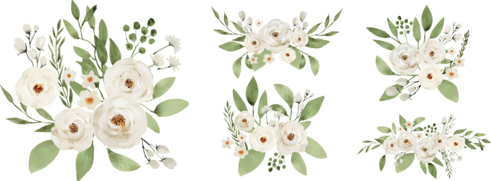 Watercolor floral arrangements and bouquets with white roses and green leaves