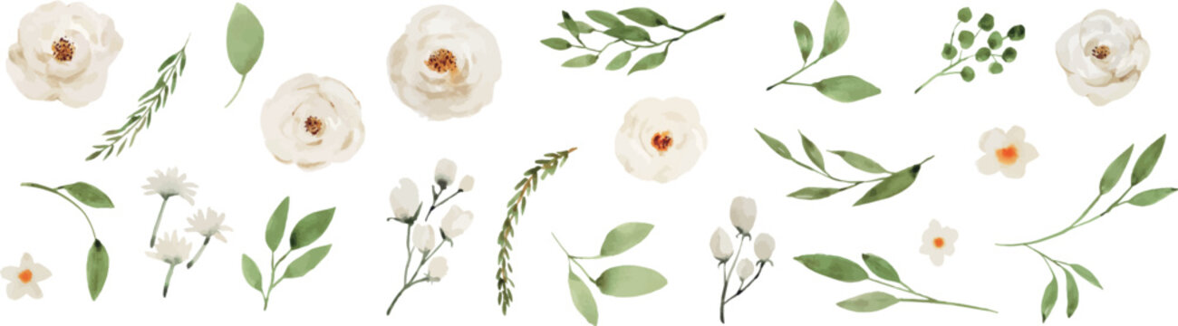 Watercolor floral elements and individual flowers with green leaves