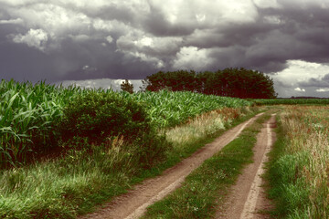 Uroki lata nad rzeką Narwią, Podlasie, Polska © podlaski49
