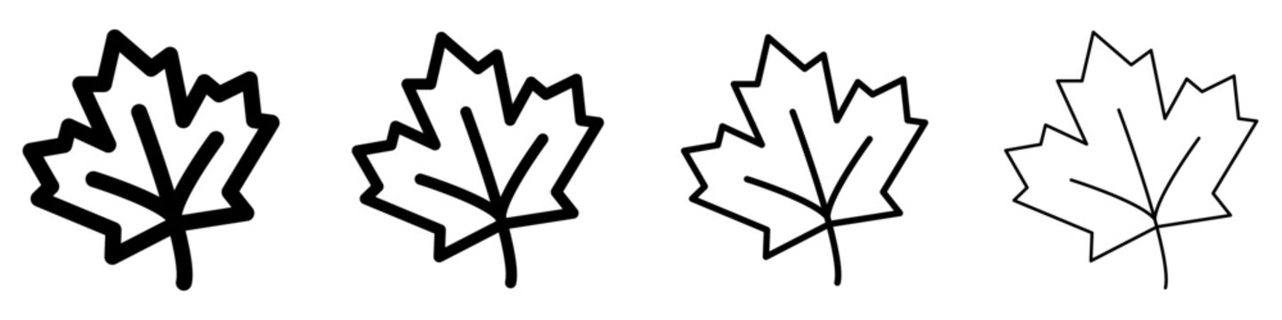 Maple leaf line icon for autumn design