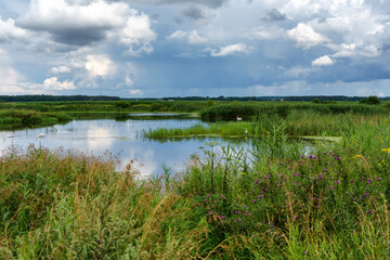 Uroki lata nad rzeką Narwią, Podlasie, Polska © podlaski49