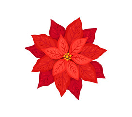 Obraz premium Cartoon Christmas holiday poinsettia flower with vibrant lush red petals. Vector vibrant natural plant, symbol of Xmas cheer and warmth, joy and celebration, decoration for the festive season