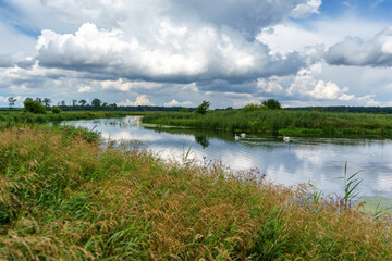 Uroki lata nad rzeką Narwią, Podlasie, Polska © podlaski49