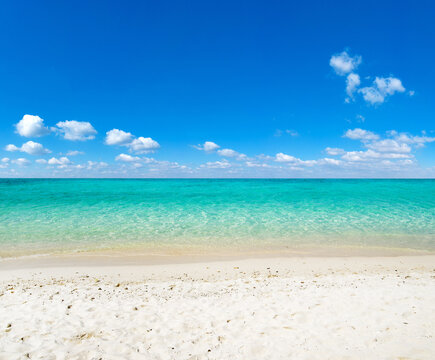 beach and tropical sea. beach landscape