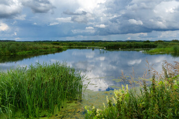 Uroki lata nad rzeką Narwią, Podlasie, Polska © podlaski49