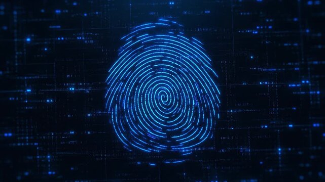 Blue Neon Digital Fingerprint animates flat onto the screen representing biometrics, identity verification and cyber security. 4k