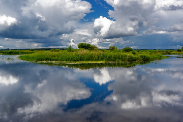 Uroki lata nad rzeką Narwią, Podlasie, Polska © podlaski49