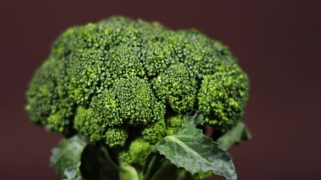 Fresh green broccoli rotating on a brown background 4K video