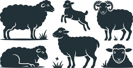 Farm Sheep and Ram Collection with Domestic Livestock, Standing and Resting Wool Animals, and Rural Agriculture Vector Illustration Set © Abul