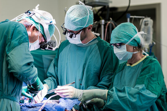 Heart surgeons and operating room nurse during a heart valve operation