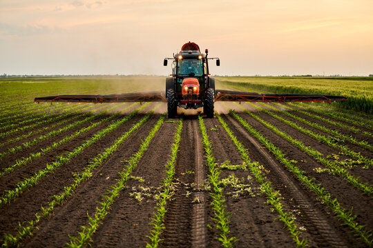 Tractor spraying fertilizer on corn field under sky