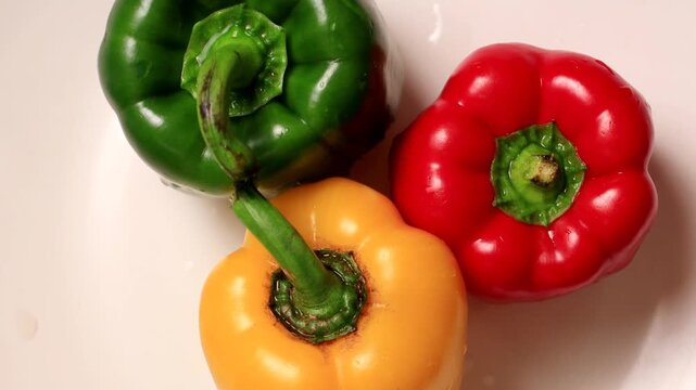 Fresh multi color paprika, chilli and capsicum spinning in water table top view close up.