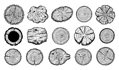 Wood Tree Trunk Rings and Circular Log Cross Section Vector Illustration Set © MDSAKIB