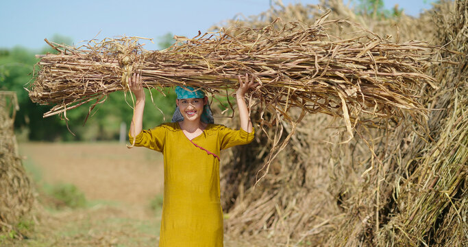 Indian young adult woman lady carrying dry grass straw on head look camera standing ground rural area happy teen girl do farm field hard work hold wheat bunch bundle crop staring cam enjoy day place