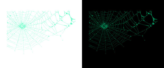 Glow-in-the-dark spider web graphics, luminous green cobweb illustrations on black and white backgrounds, spooky Halloween design elements © PNG