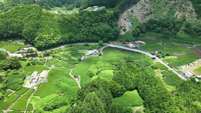 Aerial drone footage of tea fields and mountain village near Kakishima, Shizuoka, Japan