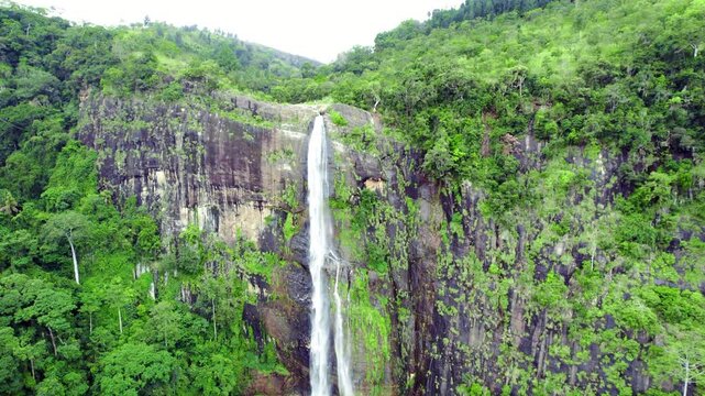 This waterfall plunges from Sri Lanka's highlands, where Punagala Oya forms one of the island's tallest waterfalls above scenic cliffs. Diyaluma Falls, Badulla District, Sri Lanka.
