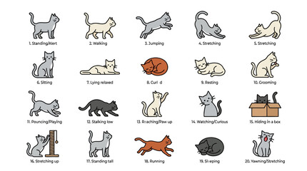 Fototapeta premium Collection of various sitting standing lying and walking cats in different breeds and colors for pet or animal related projects