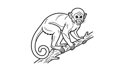 Fototapeta premium Squirrel Monkey Line Art Vector Illustration EPS