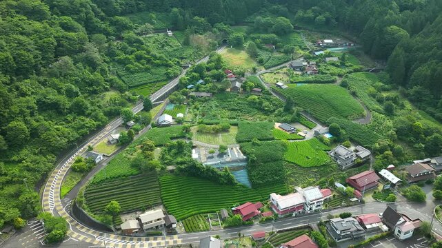 Aerial drone footage over tea fields and mountain village in Kawanehon, Shizuoka, Japan