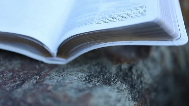 Macro close-up of an open Bible resting on rugged stone outdoors, focused on Psalms. Soft daylight, shallow depth of field, natural textures, and serene, contemplative ambiance.