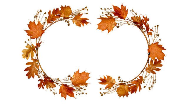 Autumn maple leaves and branches forming a circular frame