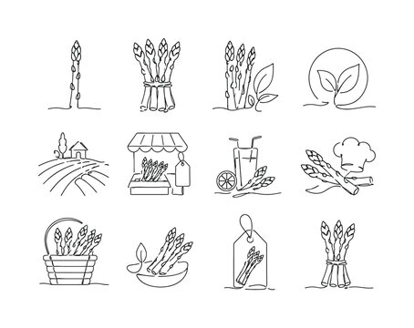 Asparagus Market Sketch, one-line drawing set, create 12 minimal continuous single-line icons in a 4x3 layout showing asparagus spear, asparagus bundle, spring vegetable, organic produce, farm crop,