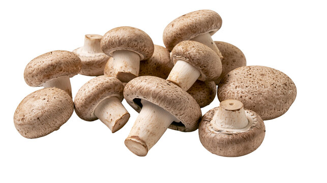 Group of brown cremini mushrooms with visible stems and caps