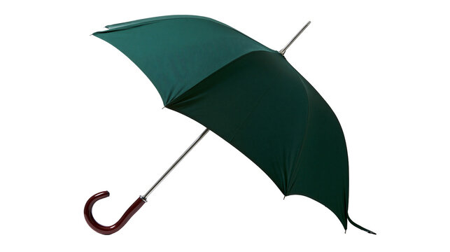 Dark green umbrella with curved wooden handle and metal shaft