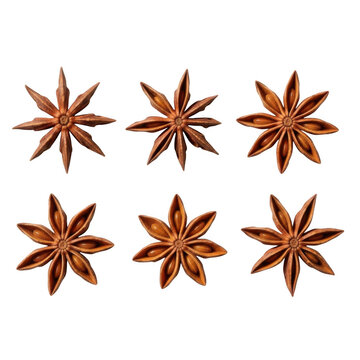 Six star anise spices isolated on transparent background