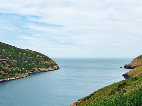 Calm bay between green coastal cliffs, Akaroa, New Zealand