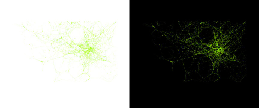 Microscopic green neurons on black and white backgrounds, fluorescent neural network cells, biological brain tissue imaging for medical research