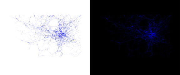 Naklejka premium Microscopic blue neuron network cell, biological brain synapse connection on white and black background, neural science research concept